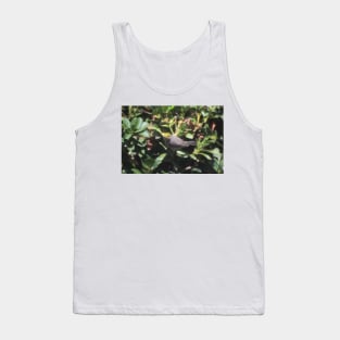 Small Verdin Tank Top